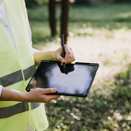 Site Assessment